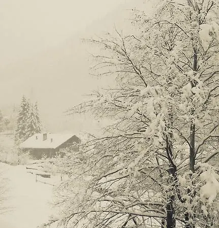 Apartament Casa Dei Fiori