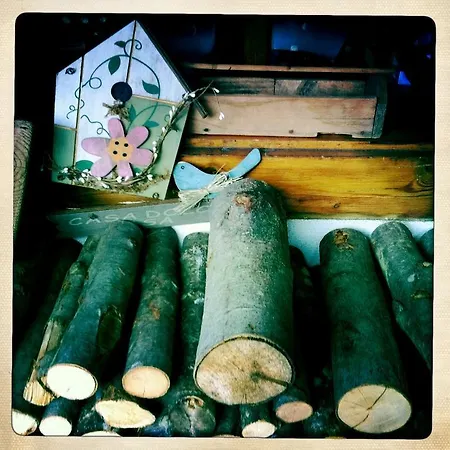 Casa Dei Fiori Apartament *