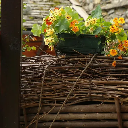 Casa Dei Fiori Appartamento *